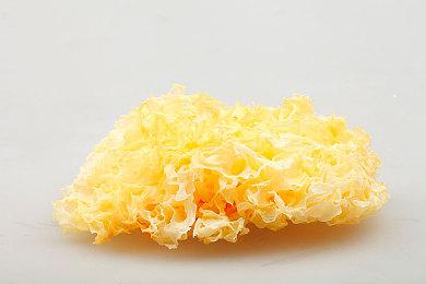 《原神》过场动画-「赤炎凛霜之争」